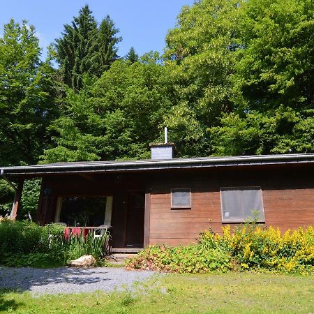 Detached Chalet In Lovely Hiking Region Bellevaux Exterior foto